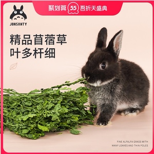 宠尚天紫花苜蓿草荷兰猪草兔子草饲料幼兔粮干草龙猫粮食用品 阿里巴巴找货神器