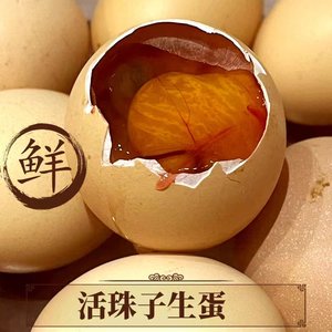 活珠子生蛋11/13天新鲜生的无毛鸡胚蛋活珠子生的批发孵化蛋喜蛋