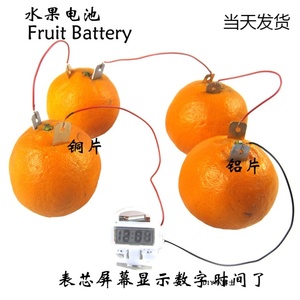 科学实验器材水果电池环保时钟数字钟番茄土豆发电材料袋装小发明