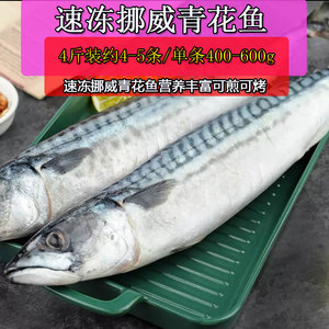 青花鱼烤 青花鱼烤品牌 价格 阿里巴巴 青花鱼烤 青花鱼烤品牌 价格 阿里巴巴