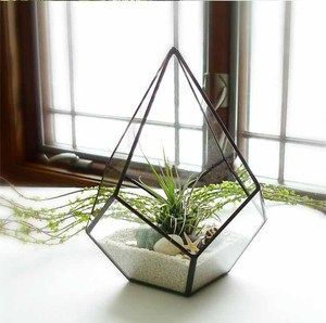 欧式水滴形状玻璃花房多肉植物几何花器微景观花盆桌面DIY