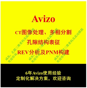 Avizo  PerGeos CT图像处理  孔隙结构表征