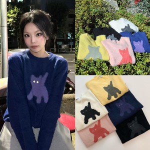 【原包装】韩国小众品牌AEAE原单猫咪毛衣，三标吊牌包装齐全