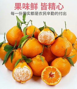 【十斤35.9元】四川耙耙柑正宗春见当应季新鲜水果丑橘子粑粑