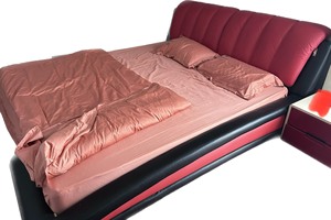 柏健红色色床铺1.8米（含床垫）#床品