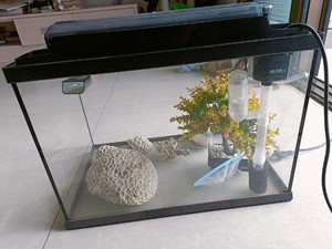品牌日创鱼缸长47厘米，宽28厘米.高34厘米超白玻璃，质量