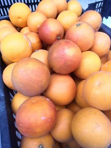 【季节限定 年底才有】四川特产 内江资中塔罗科血橙红橙子和或