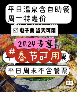 北京金隅凤山温泉 成人温泉票