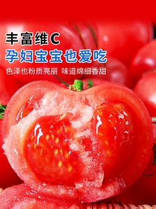 西红柿新鲜普罗旺斯9斤自然熟山东草莓柿子10水果大生吃沙瓤番