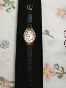 PREMA/宝利玛女款手表，全新，未使用过