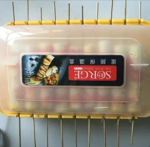 秀竹蛋肠机电热保温盒燃气蛋包肠机摆摊配套商用热狗烤肠保鲜盒（