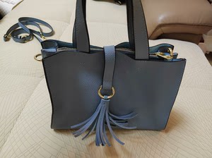 大东手提包，未使用，蓝色，两用，手提或斜挎都可以，139元买