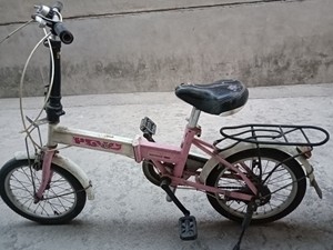 蓝岛品牌儿童自行车，轮毂应该是12寸，手机原相机实拍图，买时