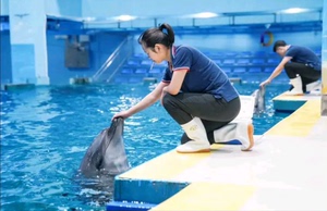 锦艺城海洋馆门票