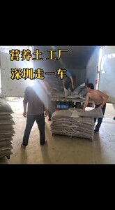 大包营养土/8元1袋泥炭土草炭土花肥工厂种菜土种花土批发池泥