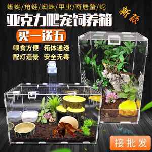 养螃蟹专用缸饲养盒辣椒蟹小宠物生态系儿童礼物迷你桌面喂食造景