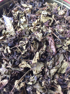 斯里兰卡茶苗长期供应斯里兰卡茶苗，求合作