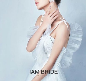求购，大概是六七年前的款，艾慕婚纱天使之吻系列婚纱，由吊带纱