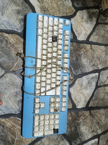卓威CELERITAS II DIVINA蓝色机械键盘，带原