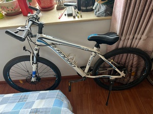 landao蓝岛自行车  家里老人买的具体型号不清楚 没骑几
