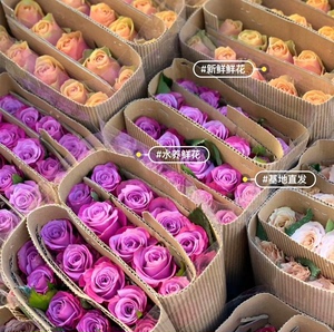 40支玫瑰鲜花花束保证新鲜随机发货水养鲜花云南基地直发空运批