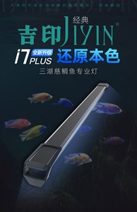 吉印i7plus三湖慈鲷鱼灯专用灯引色灯三湖鱼灯雕鱼鱼缸增艳