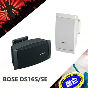 BOSE DS16 SE 白  无包装盒，开箱测试样品