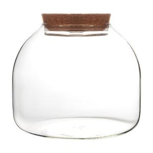 微景观生态瓶苔藓植物玻璃花瓶水培植物玻璃瓶鱼缸摆件斗鱼瓶
