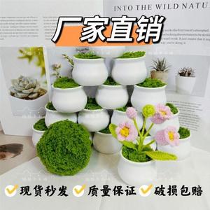 毛线钩织小盆栽白色塑料花盆仿迷你摆件新款防摔专用泡沫编织草坪