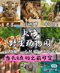 当天可定上海野生动物园门票含巴士