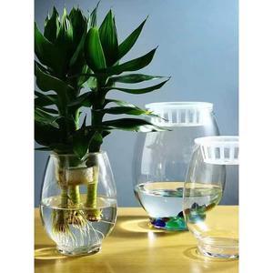 透明玻璃绿萝水培花瓶金斗鱼缸龙蛋形瓶子富贵竹水养植物花盆摆件