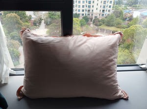 宜庭靠枕套（含枕芯）一对，60×85的，枕套桑蚕丝面料，枕芯