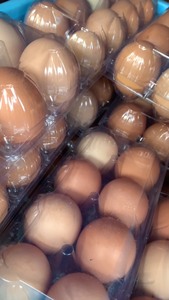 土鸡蛋，在自家大棚闲置地方散养的溜达鸡、非专业养殖户鸡蛋，纯