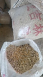 玉米杂碎～碎玉米杂，养殖猪狗牛羊鸡鸭鱼价格便宜货在广西，特价