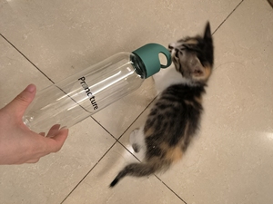 全新枫趣赠品水壶水杯水瓶500ml以上人猫狗都可用。10元包