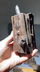 木化石 天然笔筒 漂亮 好 天然 带树杈子1长11宽8.5