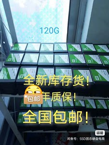 120G WD西数固态硬盘