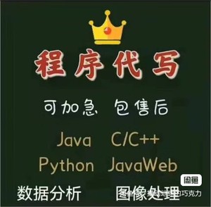 Java程序代编Python编程编写C语言开发c++代写vb