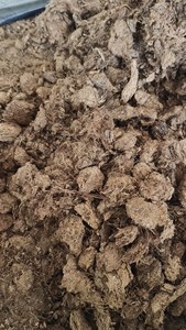 块状泥炭土，兰花基质，20-40，块百分之八十，5斤包邮35