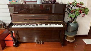出二手钢琴，品牌为施特劳斯，颜色为棕色，款式为U1，闲置在家