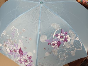 全新淡蓝色天堂伞，正品保证，单人雨伞，在店里买的89元，一次
