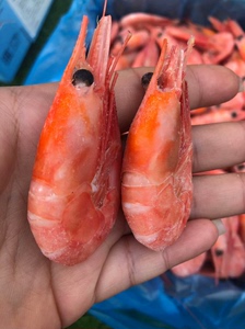 新货北极甜虾大号70规格全头籽解冻即食，野生深海虾，品质绝绝