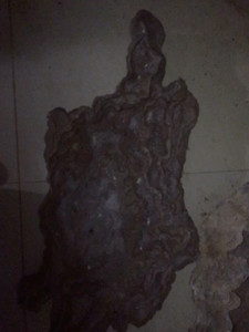 广西云盆，天然钟乳石形成，造型独特，两个长度一样，长度为70
