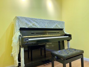 立式钢琴一台：斯坦梅尔TS300