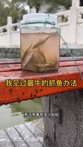 抓小鱼神器儿童抓鱼工具倒须瓶抓鱼瓶池塘小溪河流浅水库捕鱼神器