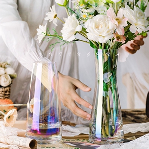 北欧创意轻奢玻璃花瓶透明客厅水养鲜花插花干花网红大肚杯花瓶摆