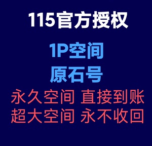 115网盘新人开户1024T(1p) 永久空间原石会员 非1