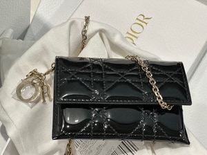 Dior小废包 全新的 只能放卡和口红 有长链 可以斜挎 全