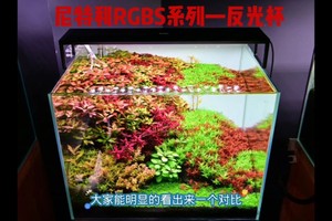 尼特利NL水草灯 RGBS系列水草灯 2023升级款