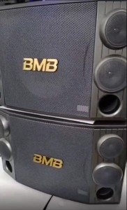 BMB CS12寸KTV专业舞台演出卡包反听工程音箱音响(新